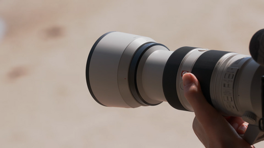 Telephoto Lenses Explained: How to Photograph Distant Subjects with Clarity