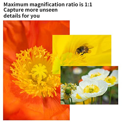 60mm APS-C Macro Prime Lens with F2.8 Aperture & High-Precision Optics