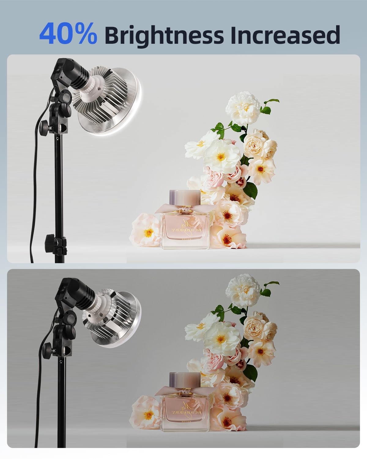 Softbox Lighting Kit for Photography & Video, 16x16in Portable Studio Lighting System