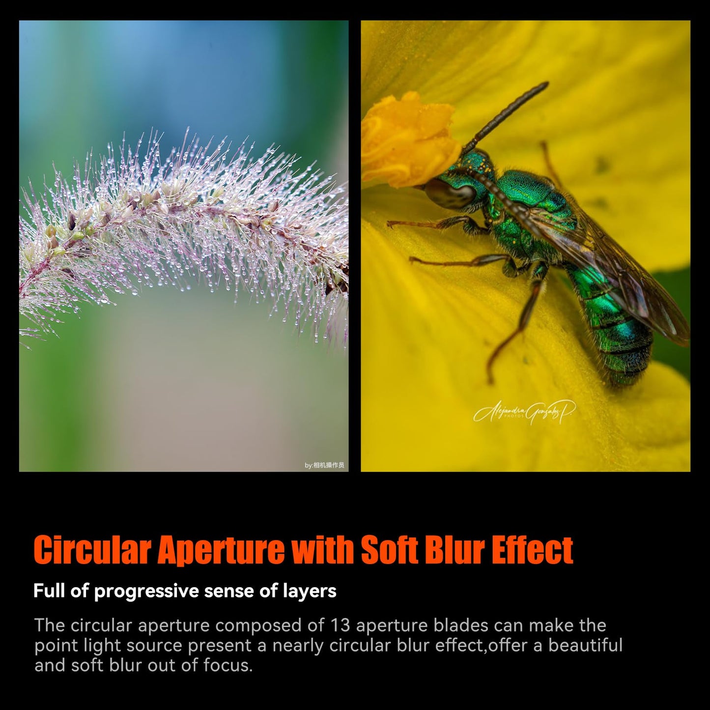 AstrHori 120mm F2.8 2X Macro Lens