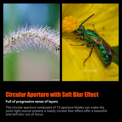 AstrHori 120mm F2.8 2X Macro Lens