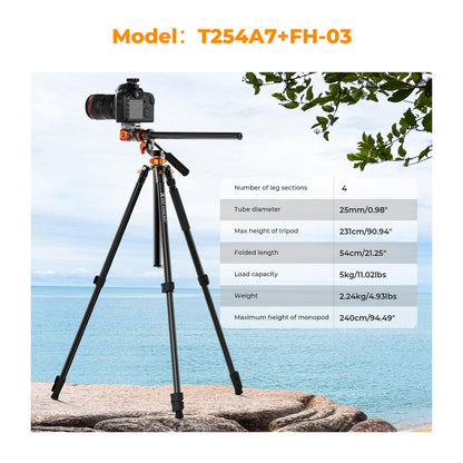 Overhead Camera Tripod for Top-Down Photography & Content Creation