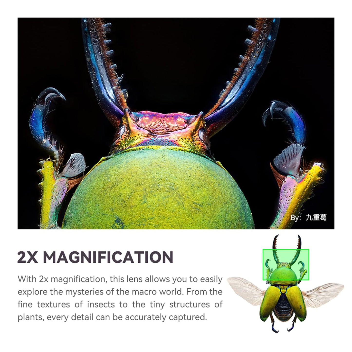 100mm 2X Ultra Macro Prime Lens for Full-Frame Mirrorless Cameras with High-Precision Optics