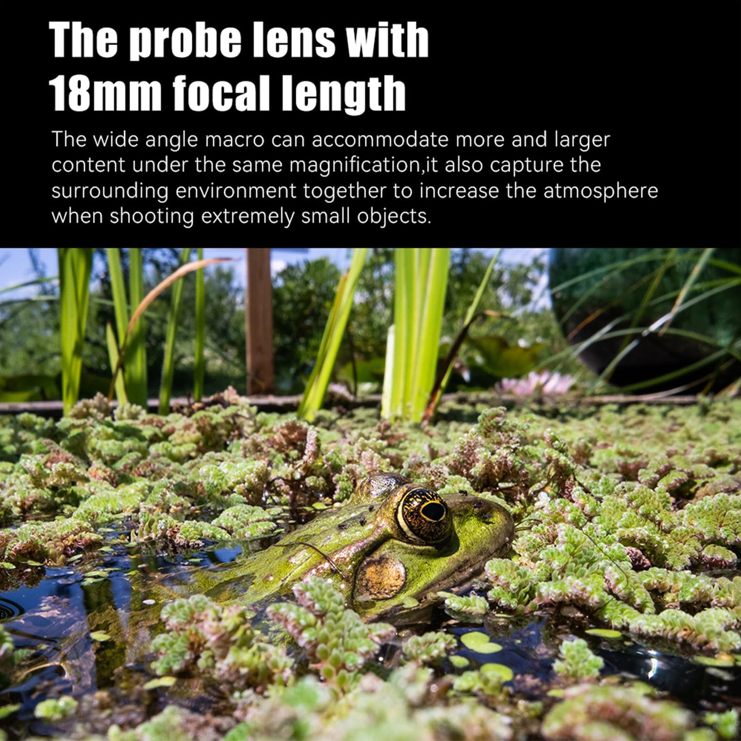18mm Ultra Macro Probe Lens with 2X Magnification, 90° Angle View & Waterproof Design