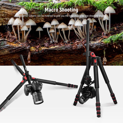 Camera Tripod & Monopod Combo for Photography & Video Stability